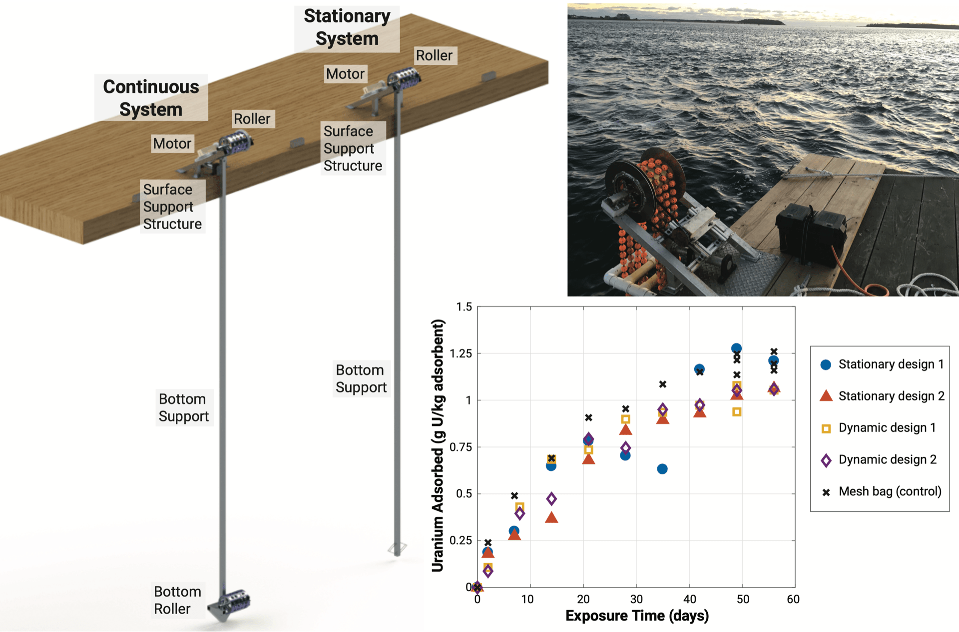 Results of an Ocean Trial of the Symbiotic Machine for Ocean uRanium Extraction